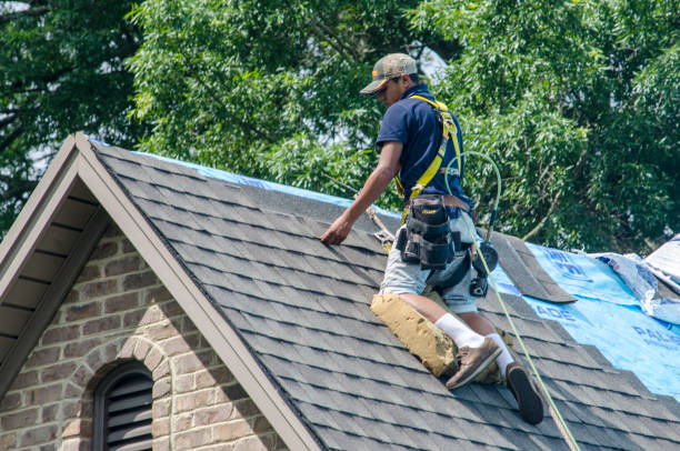 Best Roof Maintenance Services  in Independence, KS